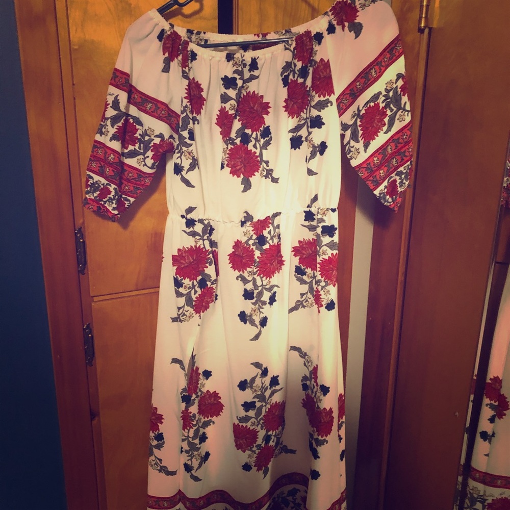 Red white and blue flowers
